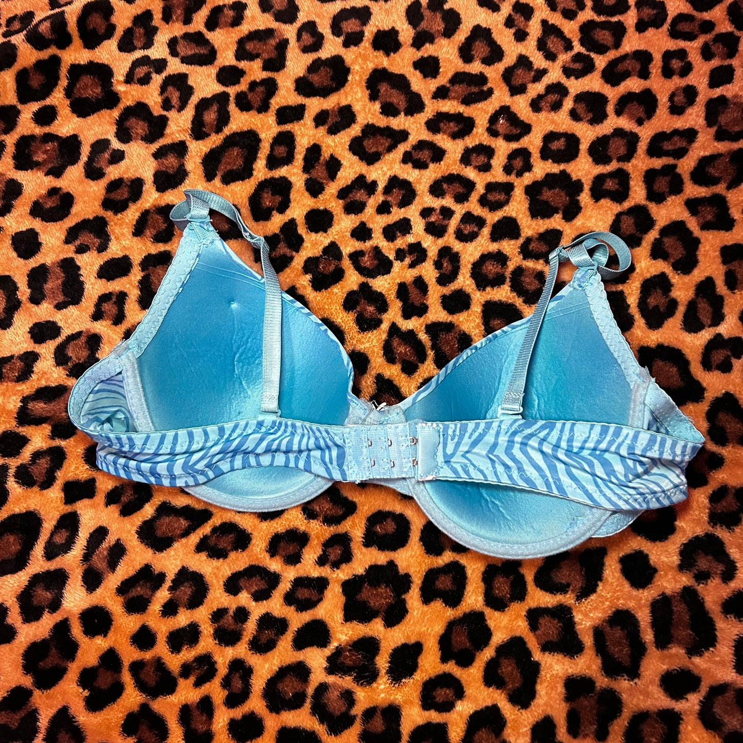 Blue Zebra Print Bra